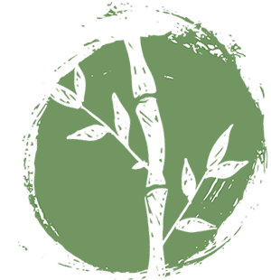 bamboo vector image
