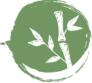 bamboo vector image
