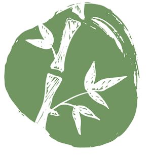 bamboo vector image