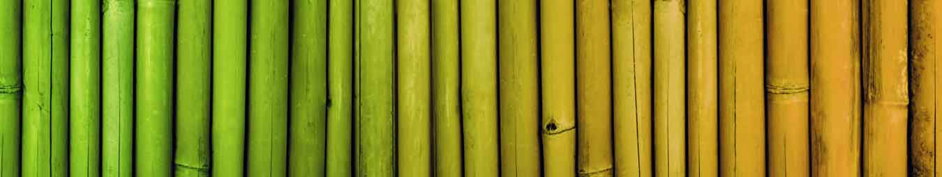 bamboo colours